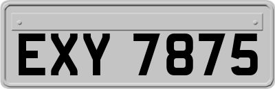 EXY7875