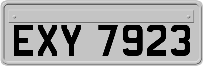 EXY7923