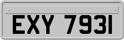 EXY7931