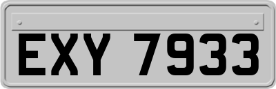 EXY7933