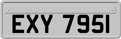 EXY7951
