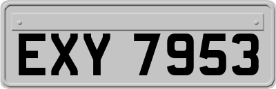 EXY7953