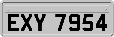 EXY7954