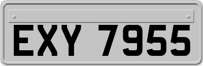 EXY7955