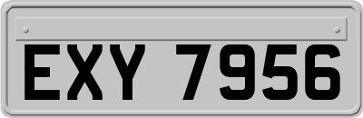 EXY7956