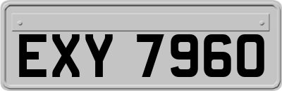 EXY7960