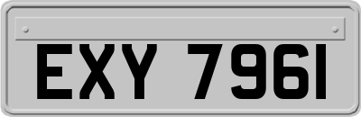EXY7961