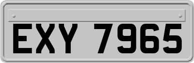EXY7965