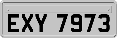 EXY7973