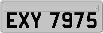 EXY7975