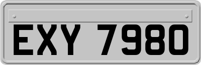 EXY7980