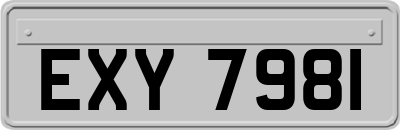 EXY7981