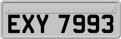 EXY7993