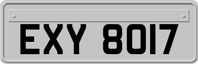 EXY8017
