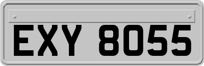 EXY8055