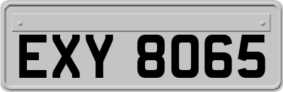 EXY8065