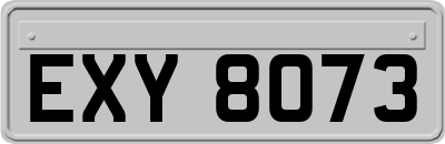 EXY8073