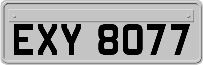 EXY8077