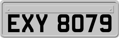 EXY8079