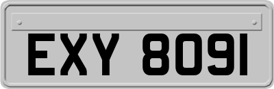 EXY8091