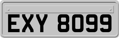 EXY8099