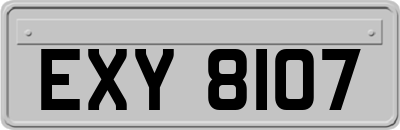 EXY8107
