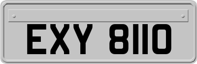 EXY8110
