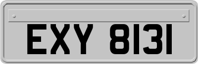 EXY8131