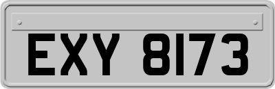 EXY8173