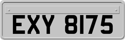 EXY8175