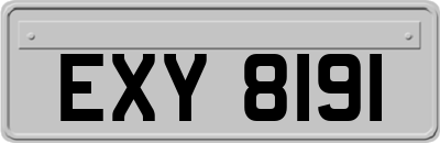 EXY8191