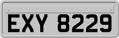 EXY8229