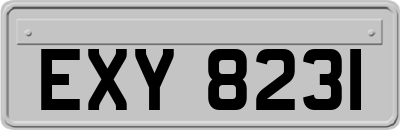 EXY8231