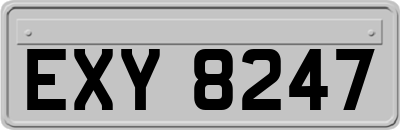 EXY8247