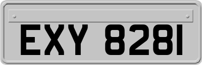 EXY8281