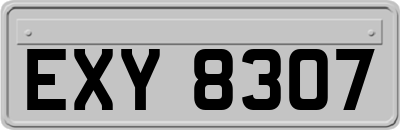 EXY8307