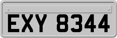 EXY8344