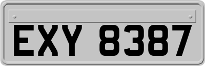 EXY8387