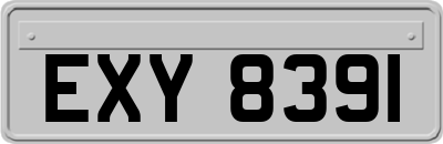 EXY8391