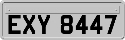 EXY8447