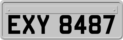EXY8487