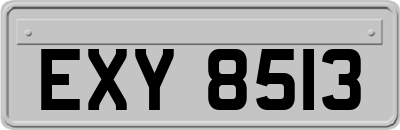 EXY8513