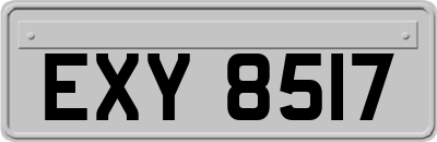 EXY8517