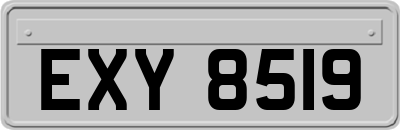 EXY8519