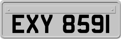 EXY8591