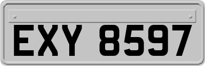 EXY8597