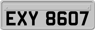 EXY8607
