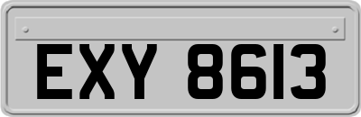 EXY8613