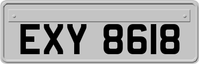 EXY8618