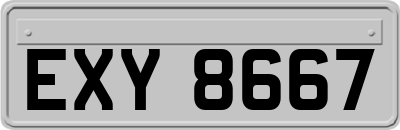 EXY8667